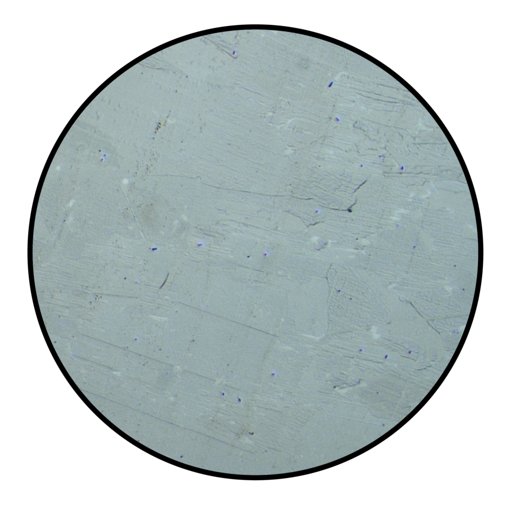 Muestra totalmente pulida observada en el microscopio